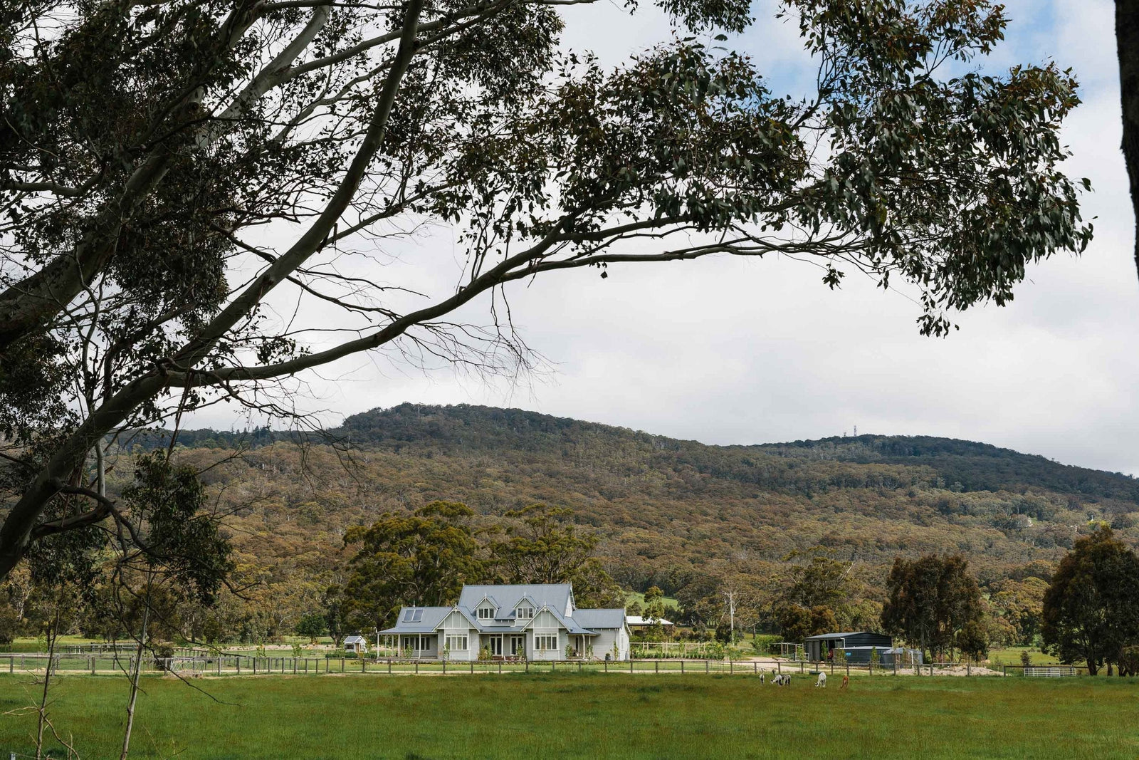 Creating a Low-Maintenance Garden You'll Love