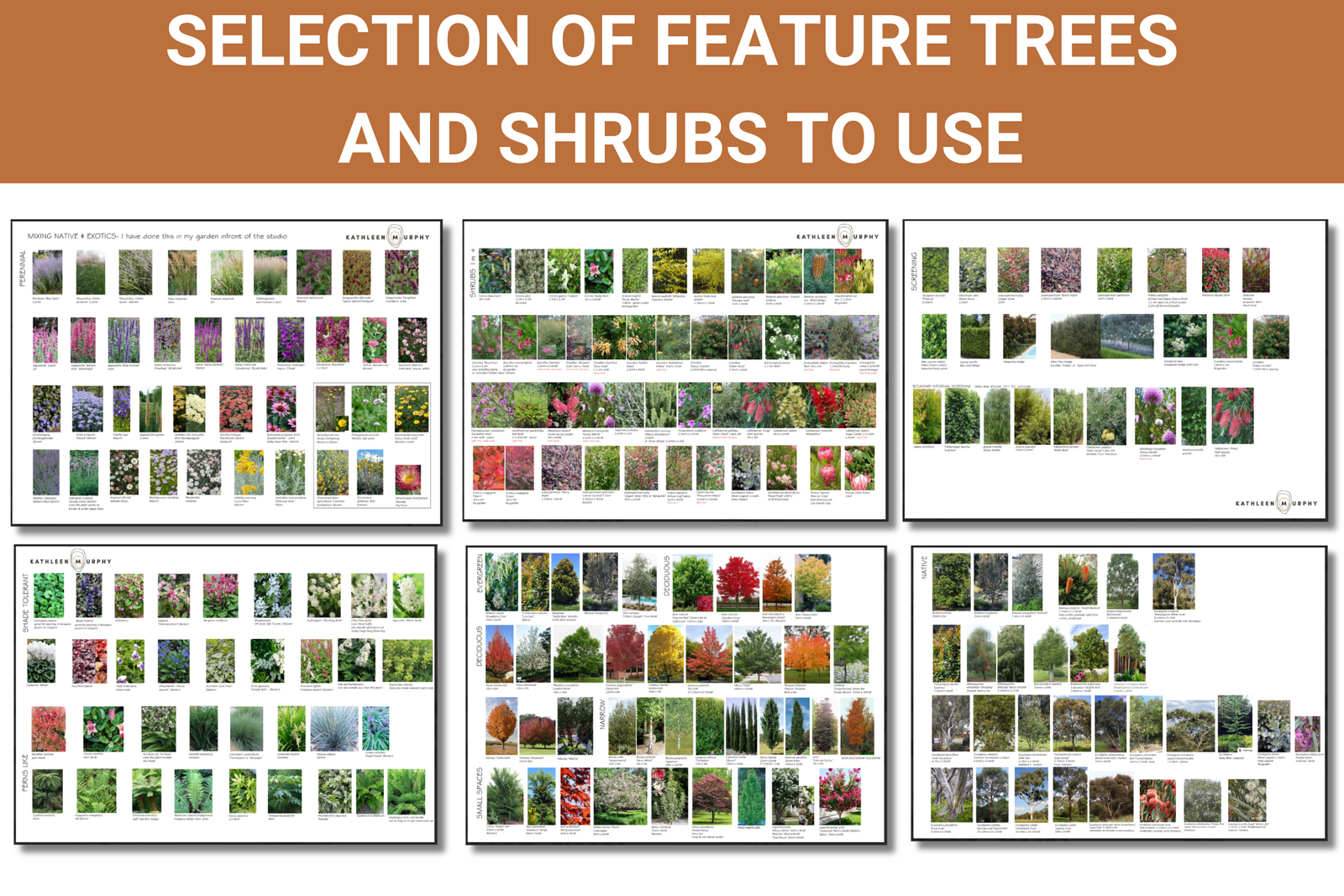 Design Your Dream Garden Online