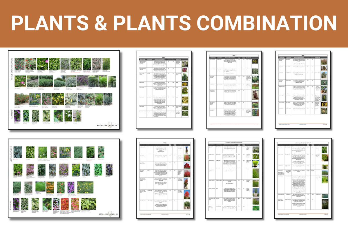 Design Your Dream Garden Online